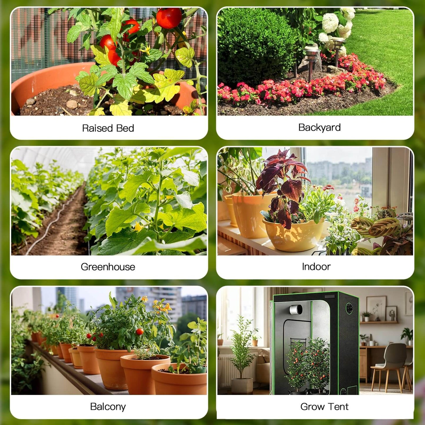 RainPoint WiFi Solar Automatic Plant Waterer Kit for Outdoor & Indoor Use with Hub