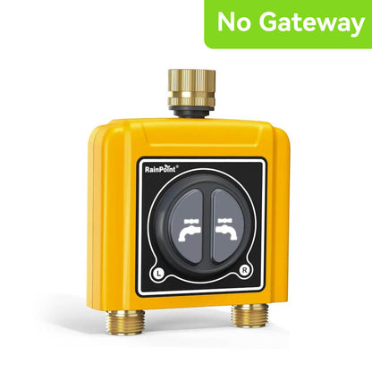 RainPoint WiFi Water Timer with Brass Inlet & Outlet. No WiFi Hub DE