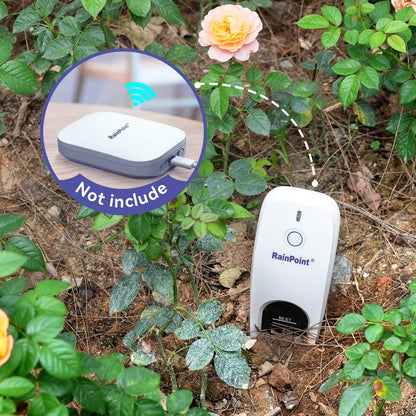 RainPoint Smart Soil& Moisture Sensor