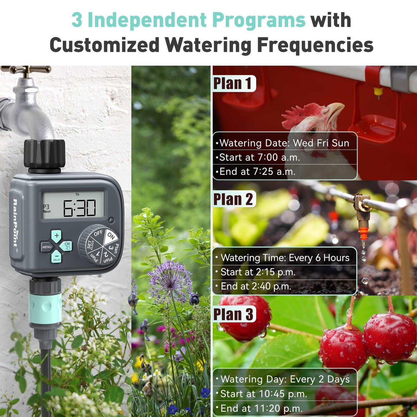 RainPoint Multi -Programming Digital Water Timer