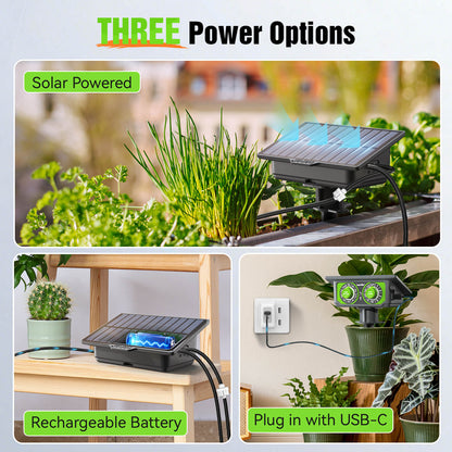 RAINPOINT Solar Drip Irrigation: Auto Watering Kit for 15 Plants, Easy Setup for Garden, Grow Tent, Raised Bed