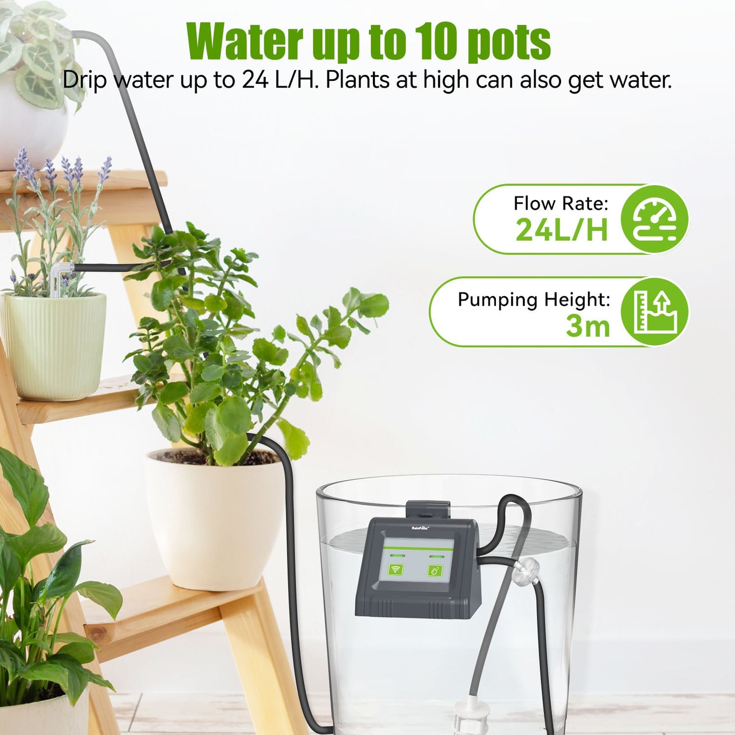 RainPoint WiFi Water Tank Pump Timer, WiFi Automatic Watering System
