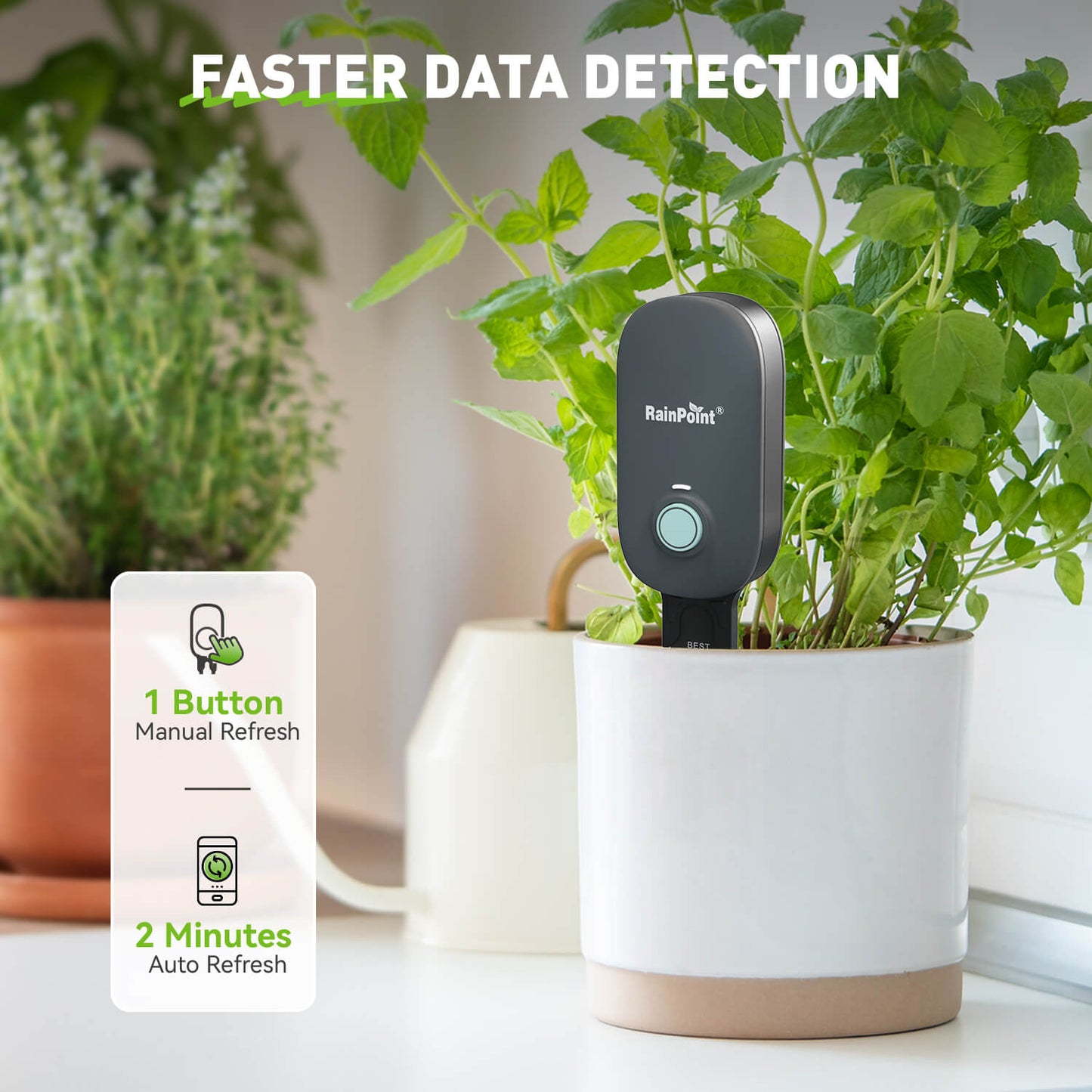 RainPoint Bluetooth Soil Moisture & Temp Meter - Works with Bluetooth Hub & Water Timer