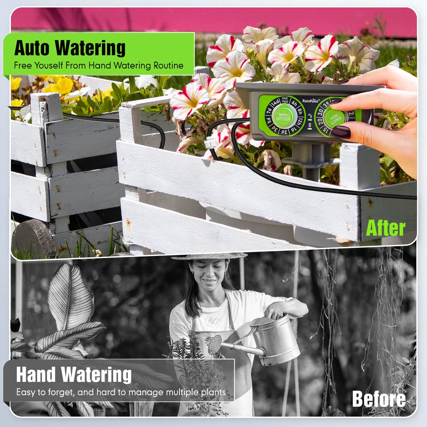 RAINPOINT Solar Drip Irrigation: Auto Watering Kit for 15 Plants, Easy Setup for Garden, Grow Tent, Raised Bed