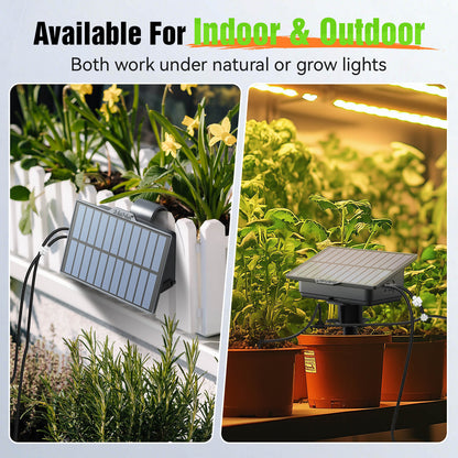 RAINPOINT Solar Drip Irrigation: Auto Watering Kit for 15 Plants, Easy Setup for Garden, Grow Tent, Raised Bed
