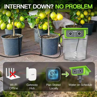 RainPoint WiFi Solar Automatic Plant Waterer Kit for Outdoor & Indoor Use with Hub