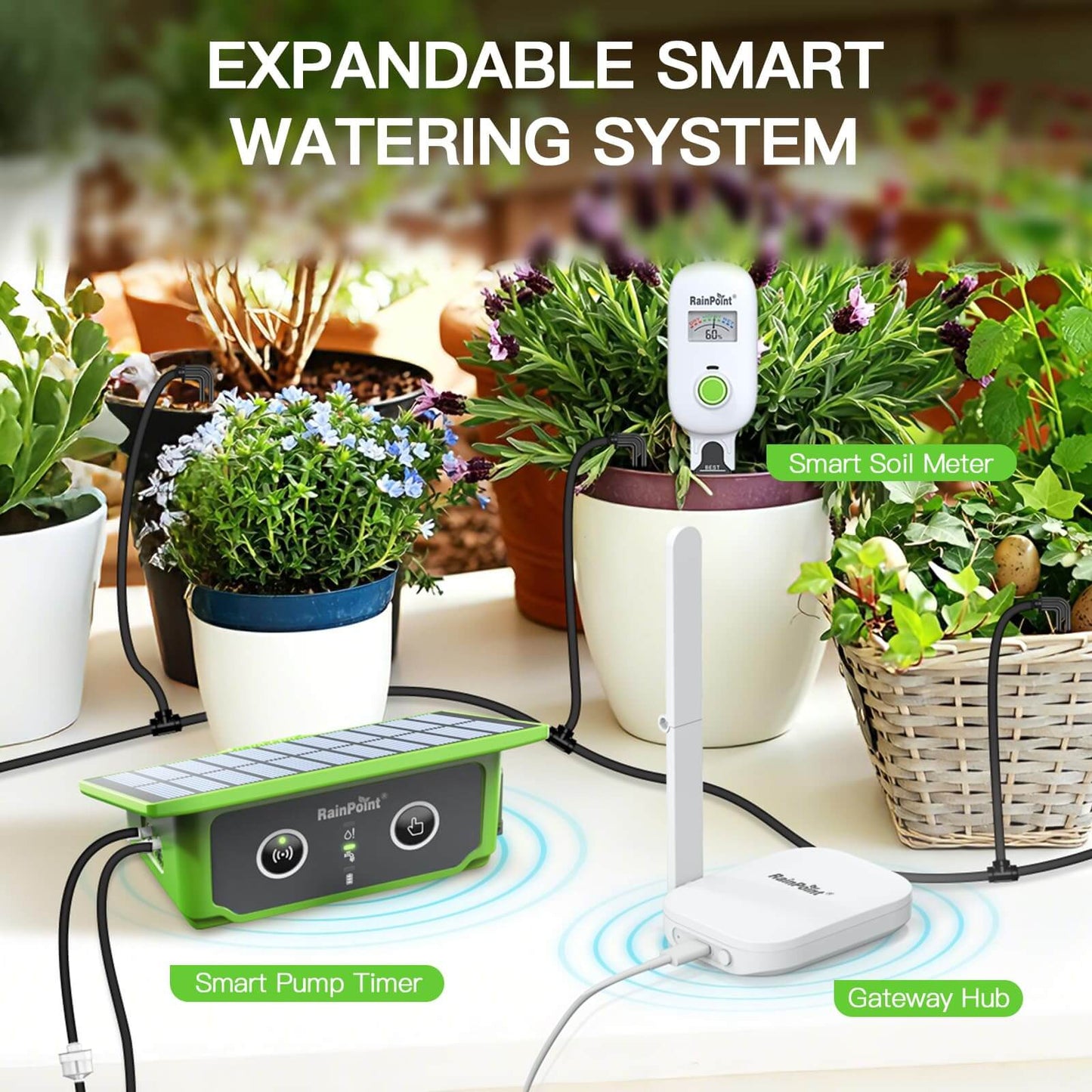 RainPoint WiFi Solar Automatic Plant Waterer Kit for Outdoor & Indoor Use with Hub