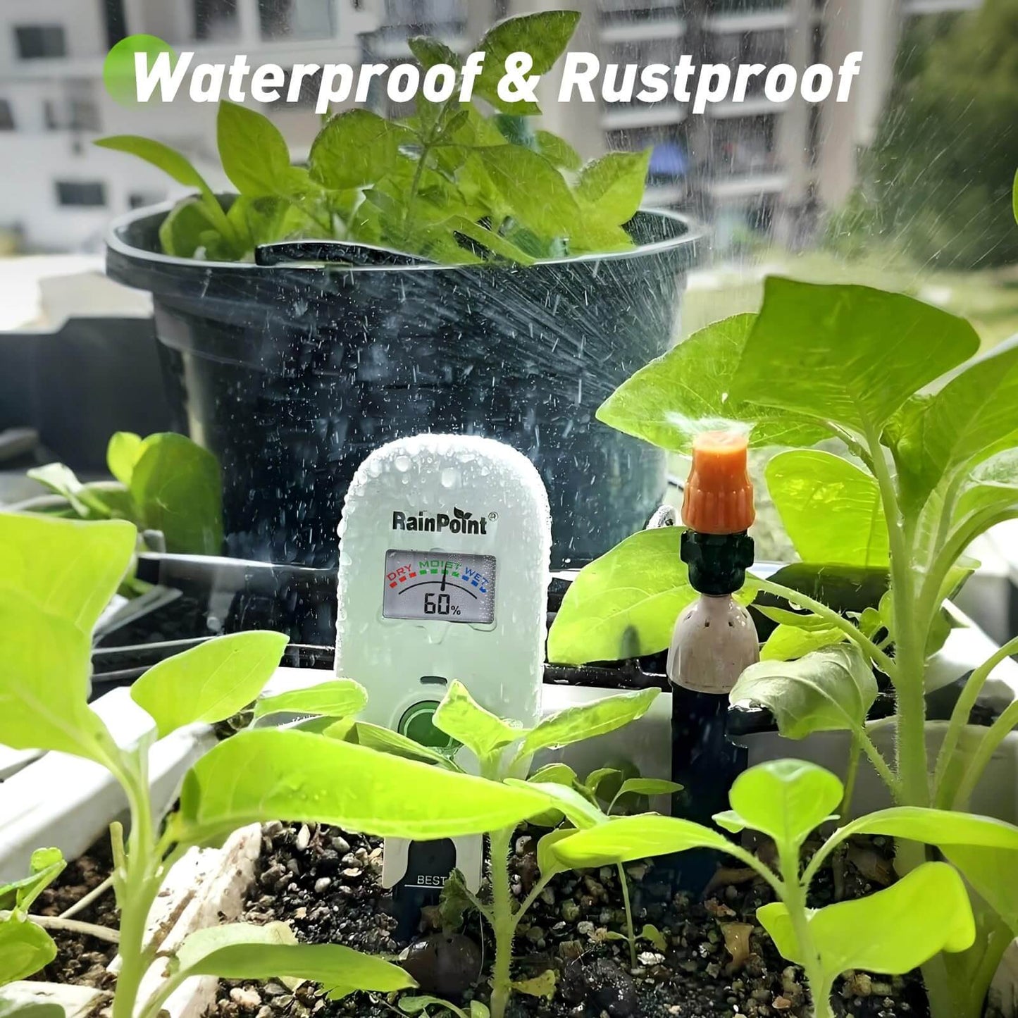 [2026 Version]RAINPOINT Visual Gauge Digital Smart Wireless Plant Moisture Meter,WiFi Hub Needed
