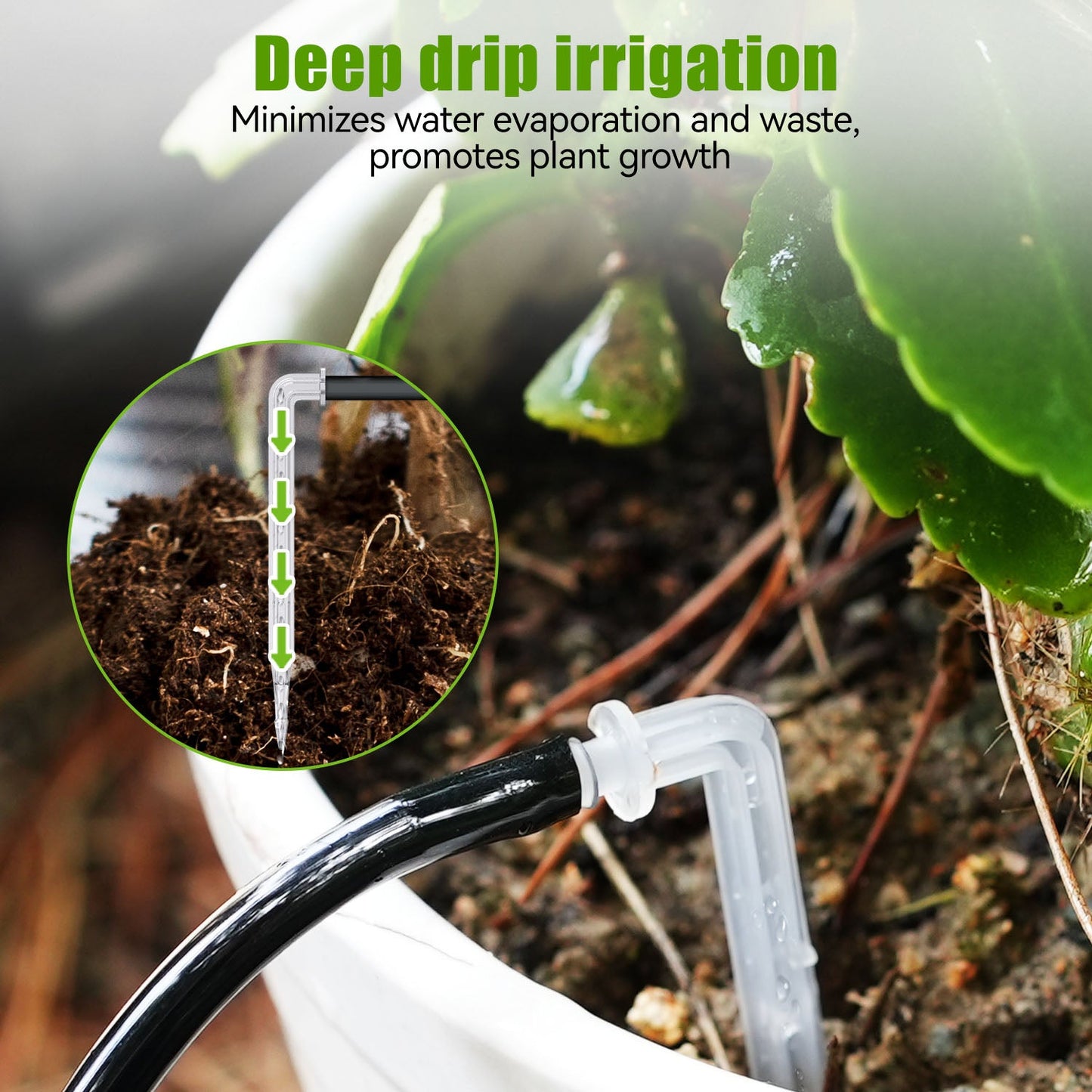 RainPoint WiFi Water Tank Pump Timer, WiFi Automatic Watering System