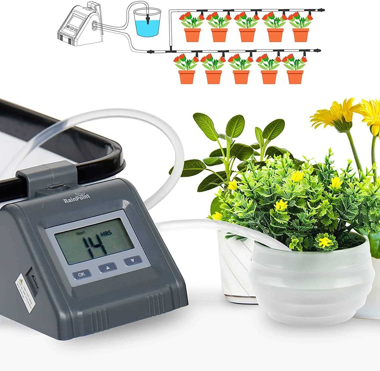 RainPoint Irrigation Pump Timer, Automatic Watering System for Potted Plants