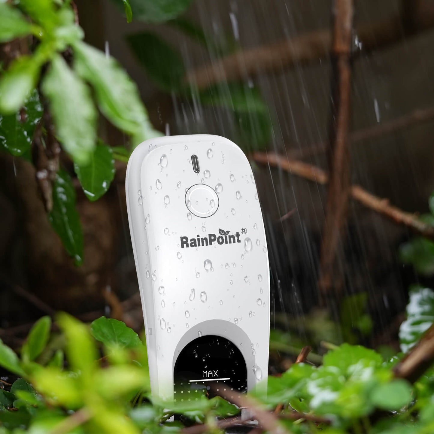 RainPoint Smart Soil& Moisture Sensor